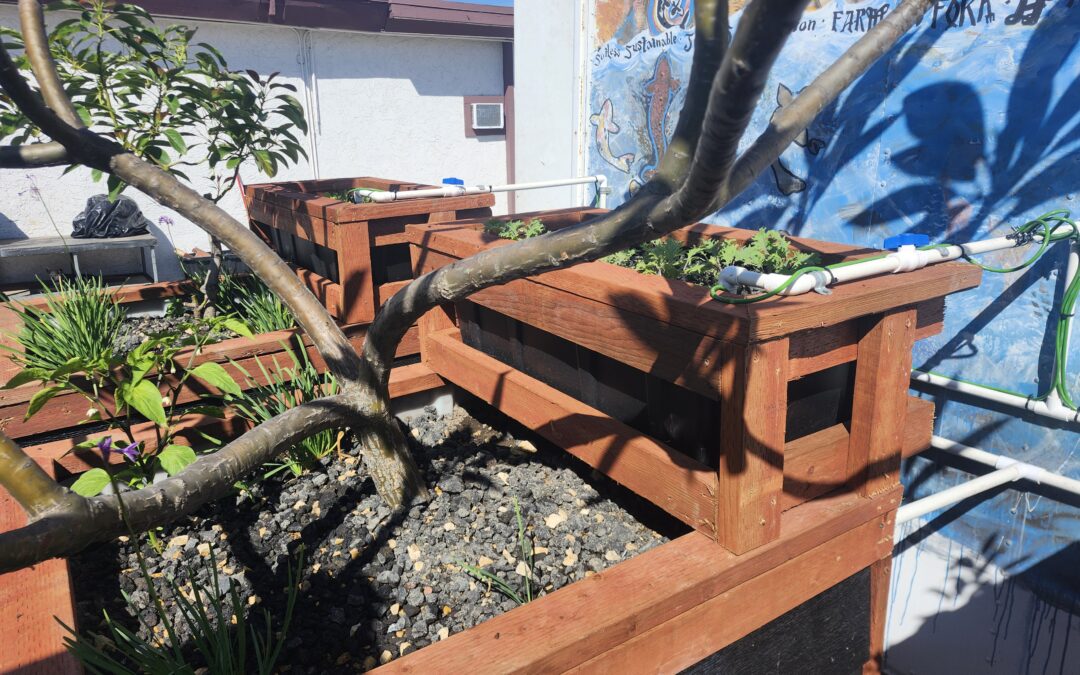 What is 151 Rock Farming?